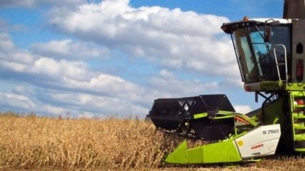 В Украине валовая продукция сельского хозяйства снизилась на 4,5%