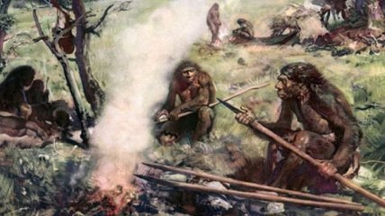 Ученые выяснили, как готовили пищу предки человека  