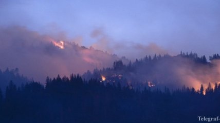 Лесные пожары уничтожили более тысячи домов в Калифорнии