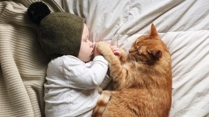На кого подписаться в Инстаграм: фотоблог о дружбе кота и мальчика