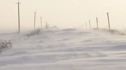 Сильный ветер и снегопады не утихают уже четвертые сутки: на Прикарпатье замело дороги к полусотне сел (видео)