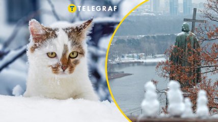 Погода в Киеве на 17-18 января