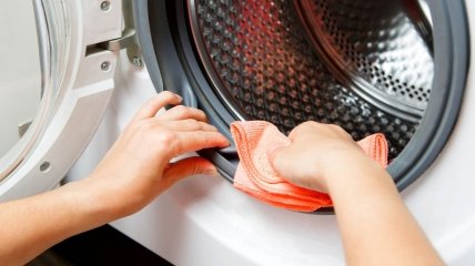 Як прибрати чорну плісняву в пральній машині