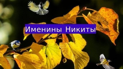 Именины (День Ангела) Никиты: значение имени и красивые поздравления