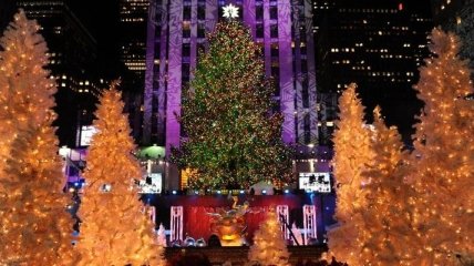 В Нью-Йорке зажглась главная рождественская елка Америки