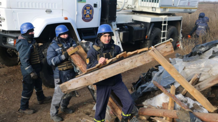 В Пуще-Водице под Киевом обезврежено 20 взрывоопасных предметов, власти призывают к осторожности