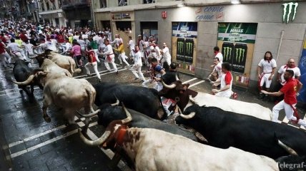 На фестивале в Испании травмированы 5 человек: одного бык проткнул рогами
