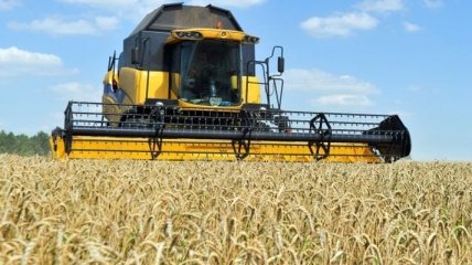 Украина использовала почти все квоты на поставки пшеницы в ЕС