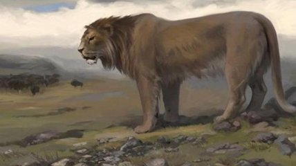 Ученые планируют клонировать пещерных львов, вымерших вместе с мамонтами 