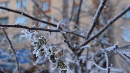 Погода в Украине 25 февраля: ожидается дождь со снегом
