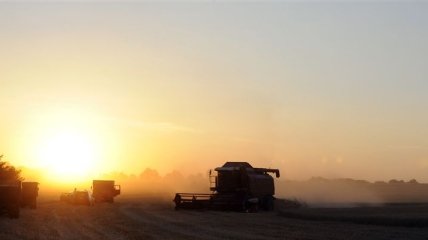 Украина засеяла яровыми зерновыми 25% прогнозируемых площадей
