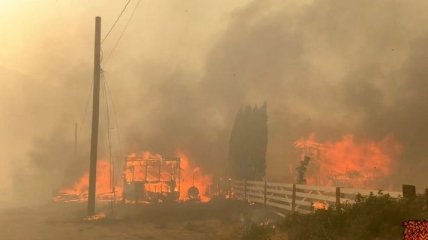 Лесной пожар уничтожил целый город в Канаде (фото и видео)