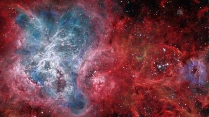 Невероятное звездное скопление "Тарантул" засняли астрономы 