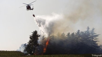 Из-за аномальной жары в Италии горят леса 