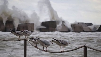Бушующее море в Одессе: появились красочные фото осеннего шторма 