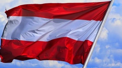 В Австрии досрочные парламентские выборы