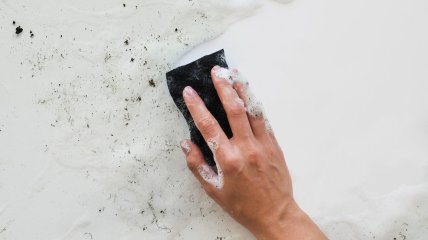Цвіль можна прибрати без зайвих витрат