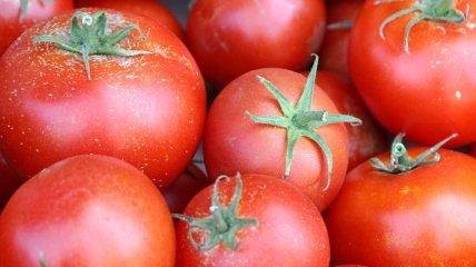 Уникальные свойства томатов 
