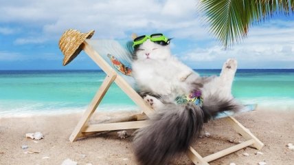Близнецам, Девам, Скорпионам и Козерогам стоит дать себе отдохнуть