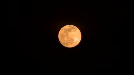 В небе взошла розовая луна: впечатляющее зрелище сняли на видео