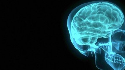 Ученые обнаружили в мозге область, которая отвечает за совесть