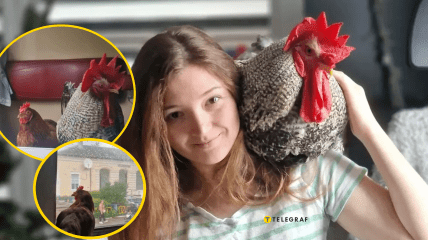 Девушка воспитывает птиц с их детства