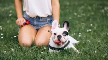 До кінця літа залишилися лічені дні