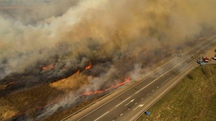 Хто винний у масштабних пожежах у Чорнобильській зоні