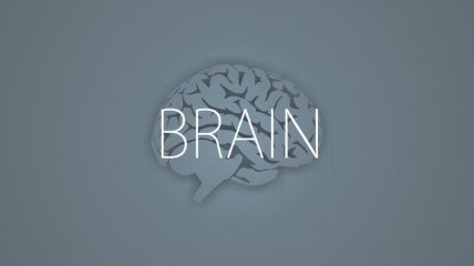Ученые создадут модель человеческого мозга за €1 млрд
