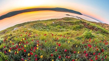 Весна в Крыму: несказанная красота гор, утопающих в цветах (Фото) 