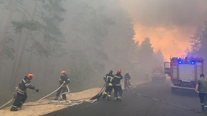 Родини загиблих у лісових пожежах отримають 200 тис. грн допомоги