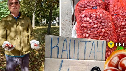 Українці, які займаються збором каштанів, мають різні причини для цього