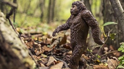 Ученые обвинили неандертальцев в передаче вируса папилломы европейцам 