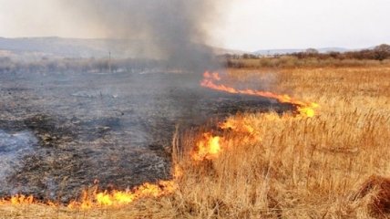 В Днепропетровской области загорелась трава на военном полигоне