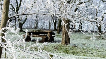 12 декабря. Приметы дня