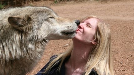 Ученые: Поцелуи собак укрепляют иммуннитет человека