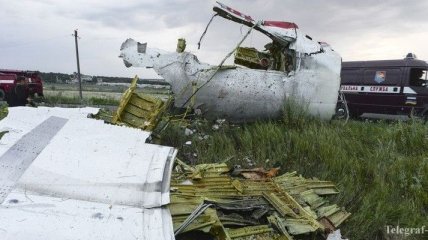 В СБУ открыли дело в связи с крушением самолета "Боинг-777"