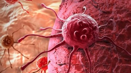 Может помочь в борьбе с онкологией: в человеческом организме найдена кислота, убивающая раковые клетки