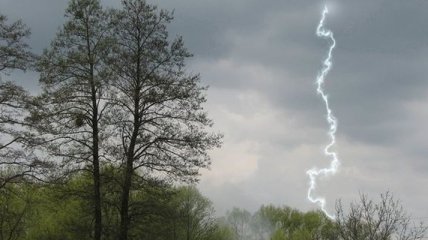 В Черкасской области от удара молнии погибла женщина