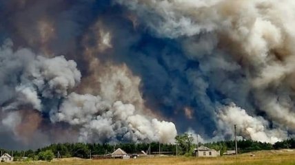 Наев: ОБСЕ помогла согласовать с оккупантами "тишину" для тушения пожаров