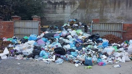 Львовский мусор обнаружили в Житомирской области