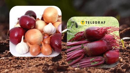 Огородні лайфхаки, перевірені часом