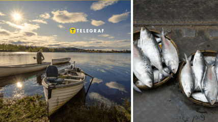 На Дніпрі чоловік похизувався уловом