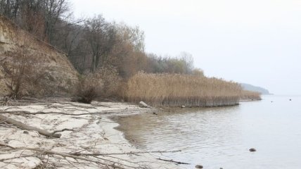 Украинские водоемы превращаются в соленые лиманы