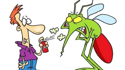 Средство от насекомых (советы экспертов)