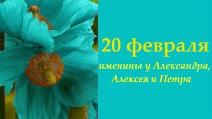 Какой сегодня день: приметы, именины, лунный календарь на 20 февраля 2016