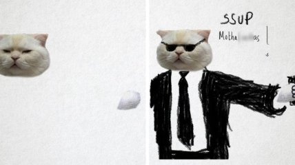 Фантазия на уровне: интернет-художники дорисовывают кота