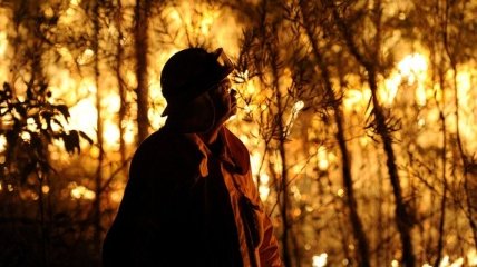 В Австралии не утихают лесные пожары: более 300 домов разрушены