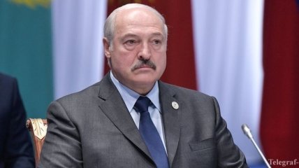 Лукашенко отреагировал на предложение Зеленского о переговорах с Путиным