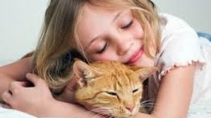 Детям полезно общаться с кошками
